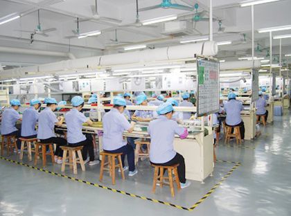 ปฏิบัติการรอง ปฏิบัติการรอง