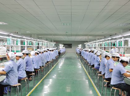 ปฏิบัติการรอง ปฏิบัติการรอง